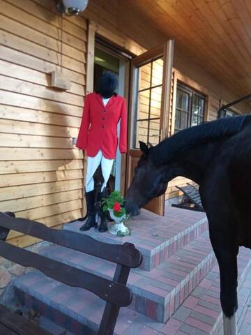 Фото номера Передвижной дом Комплексы для отдыха с коттеджами/бунгало Cavalier house г. Jumprava 31
